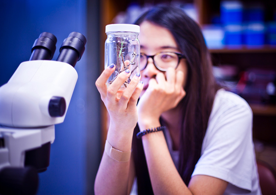 student observing a preying mantis in a ar