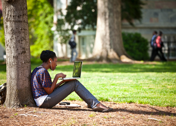 Student studying under a tree