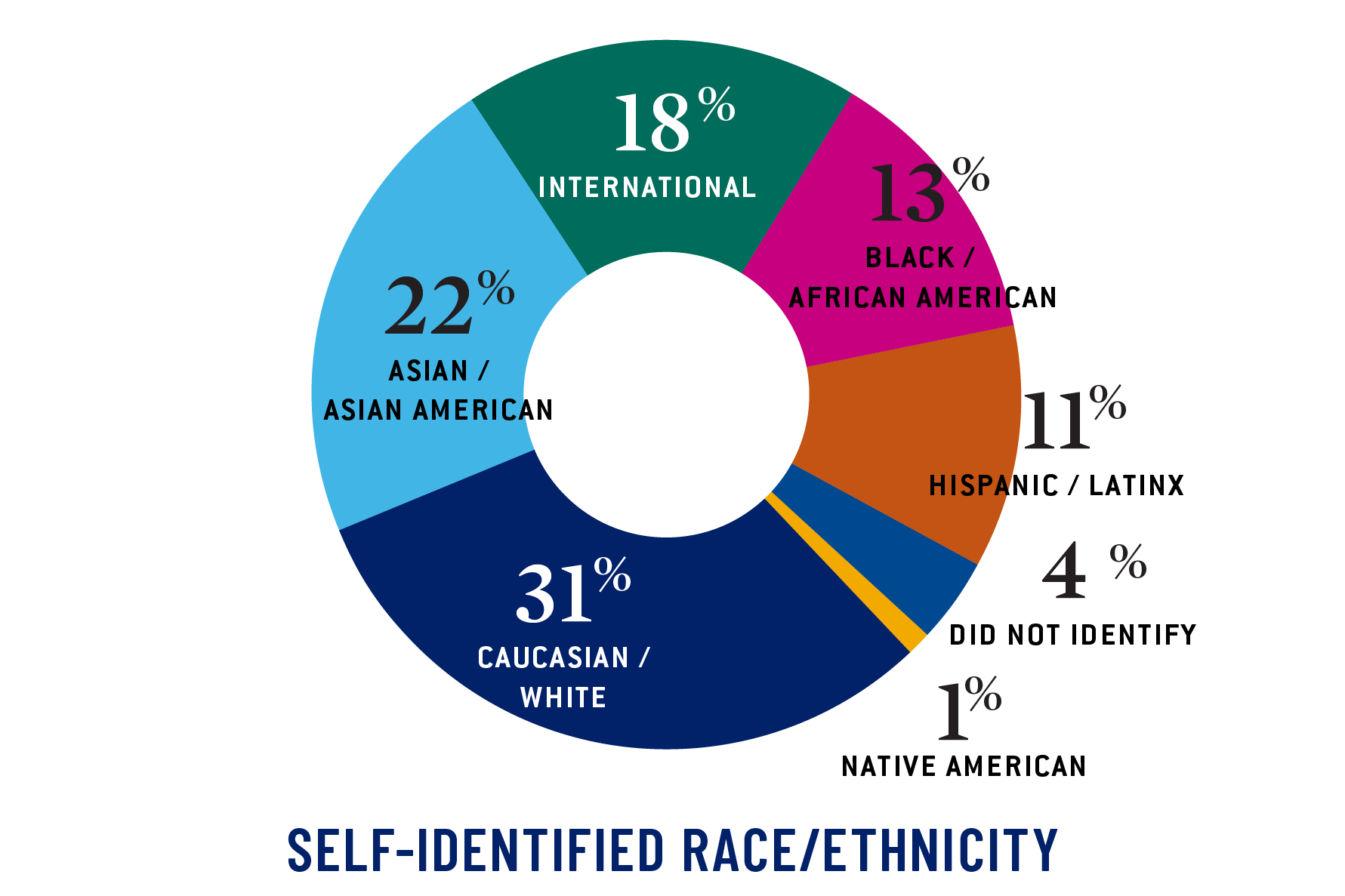 Pie graph: Caucasian/White 31%, Asian/Asian American 22%, International 18%, African American/Black 13%, Hispanic/Latinx 11%, Did Not Identify 4%, Native American 1%