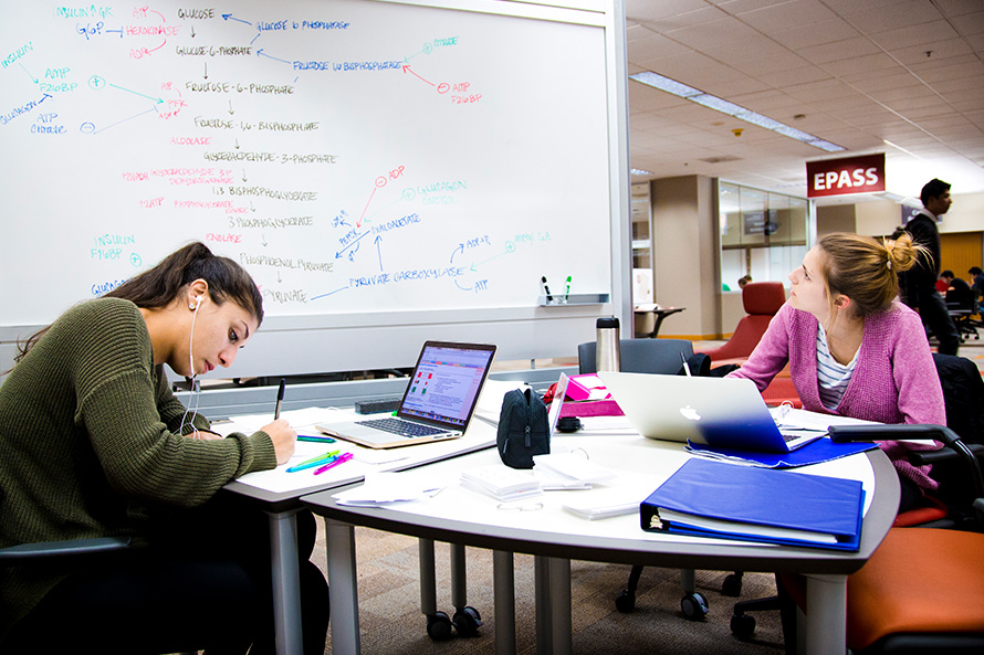 Two students studying in the library