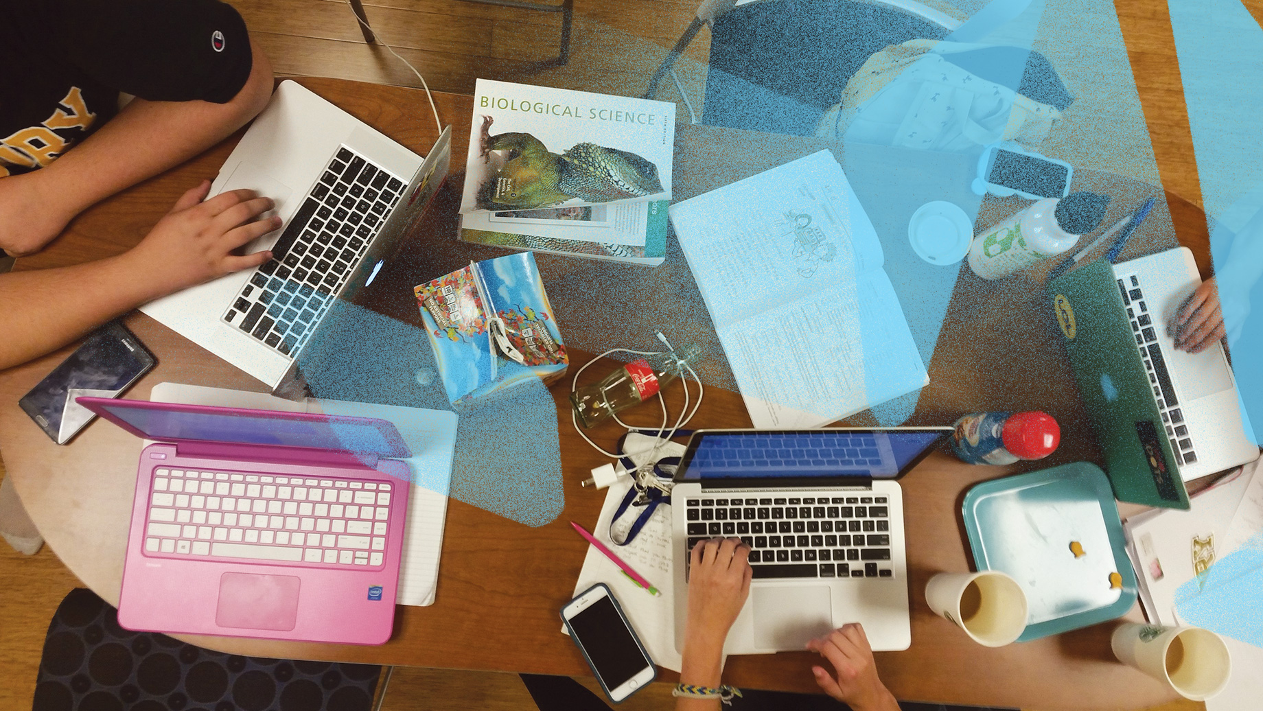 students studying in library